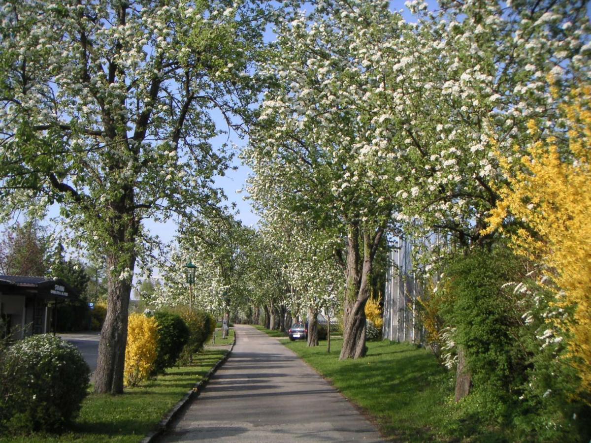 Ferien-Garconniere Hemetsberger Apartamento Weyregg Exterior foto